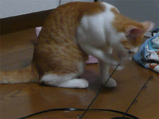 20081215111226_2.jpg