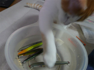 20081215111226_3.jpg 20081215111226_3.jpg