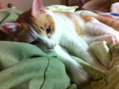 20110928110927__6.jpg