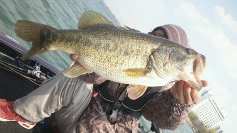 20120330080334__1.jpg