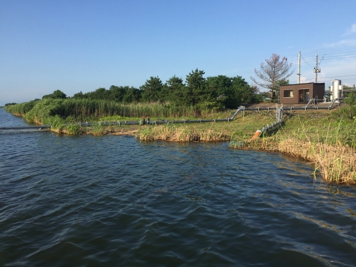 釣り・Web・iPhone・ネコのネタ八郎湖の水質と水質汚濁機構の解析